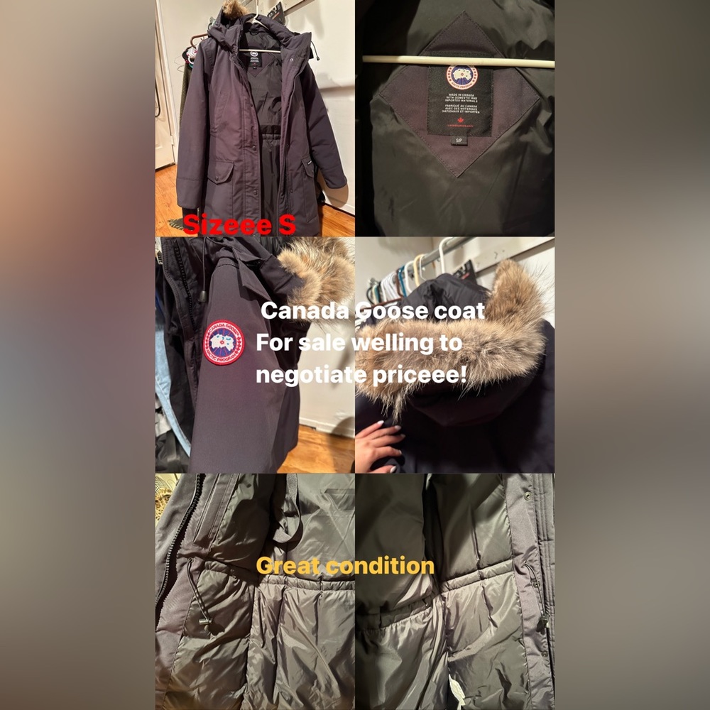 Canada Goose
